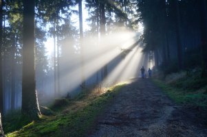Morgenstimmung