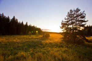 Morgenstimmung bei Selb